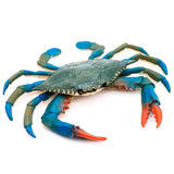 Realistic Blue Crab Plastic Figure, 6.6 x 5.3 In