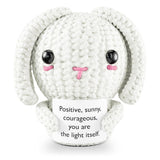 Handcrafted Crochet Bunny Plush with Message Card