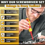 Insulated Screwdriver Set with 14 Interchangeable Tips