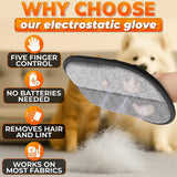 Reusable Pet Hair Remover Glove, 9.25 x 6.69 In