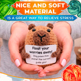 Handmade Crochet Capybara with Affirmation Card