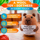 Handmade Crochet Capybara with Affirmation Card